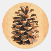 Pine Cone Runder Aufkleber (Vorderseite)