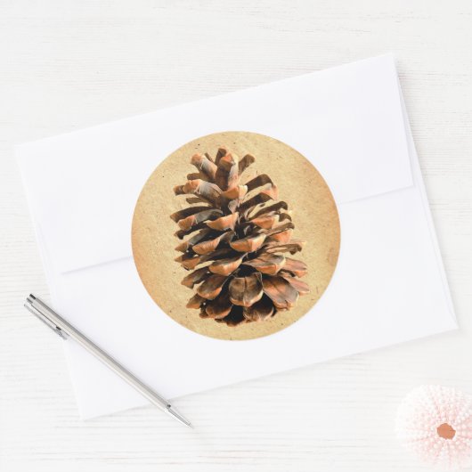 Pine Cone Runder Aufkleber (Umschlag)