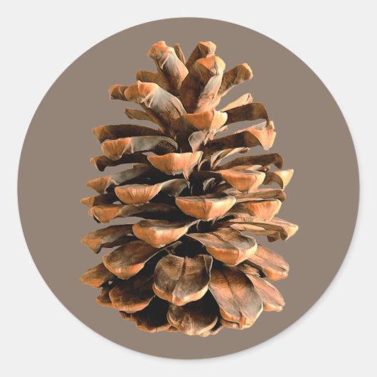 Pine Cone Runder Aufkleber (Vorderseite)