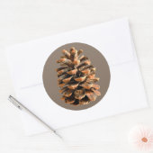 Pine Cone Runder Aufkleber (Umschlag)