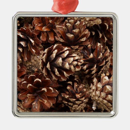 Pine Cone Silbernes Ornament (Vorne)