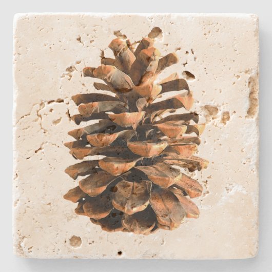 Pine Cone Steinuntersetzer (Vorderseite)