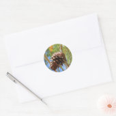 Pine Cone Sticker (Umschlag)