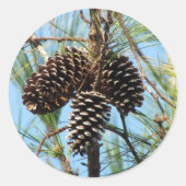 Pine Cone Stickers (Vorderseite)