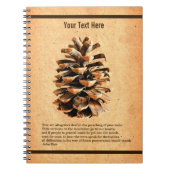 Pine Cone und John Muir Zitat Notizblock (Vorderseite)