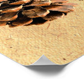 Pine Cone und John Muir Zitat Poster (Ecke)