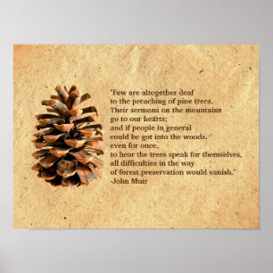 Pine Cone und John Muir Zitat Poster