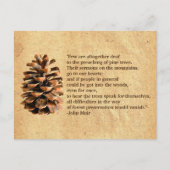 Pine Cone und John Muir Zitat Postkarte (Vorderseite)