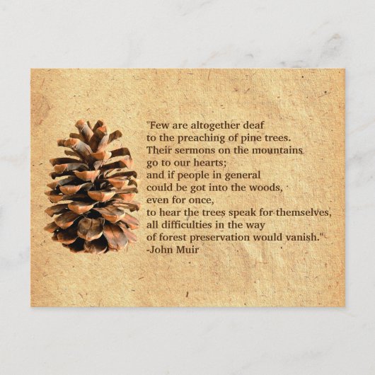 Pine Cone und John Muir Zitat Postkarte (Vorderseite)