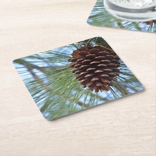 Pine Cone Wiederverwendbares Papier Rechteckiger Pappuntersetzer (angewinkelt)