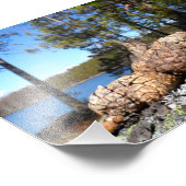 Pine Cones Fotodruck (Ecke)