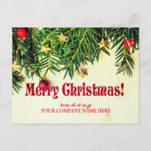 Pine Cones | Gruß Niedlich Postkarte (Vorderseite)