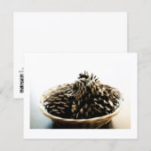 Pine Cones in a Pile Postcard Print by JH Thornton Postkarte (Vorne/Hinten)