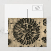 Pine Cones mandala retro Foto Postkarte (Vorne/Hinten)