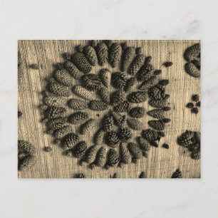 Pine Cones mandala retro Foto Postkarte