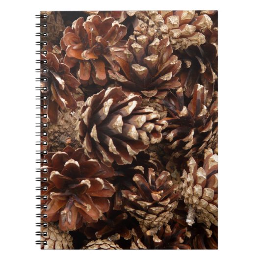 Pine Cones-Notebook Notizblock (Vorderseite)