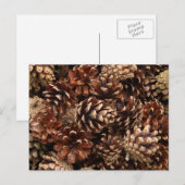 Pine Cones Postcard Postkarte (Vorne/Hinten)