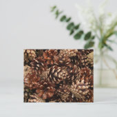 Pine Cones Postcard Postkarte (Stehend Vorderseite)
