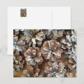 Pine Cones Postkarte (Vorne/Hinten)