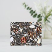 Pine Cones Postkarte (Stehend Vorderseite)