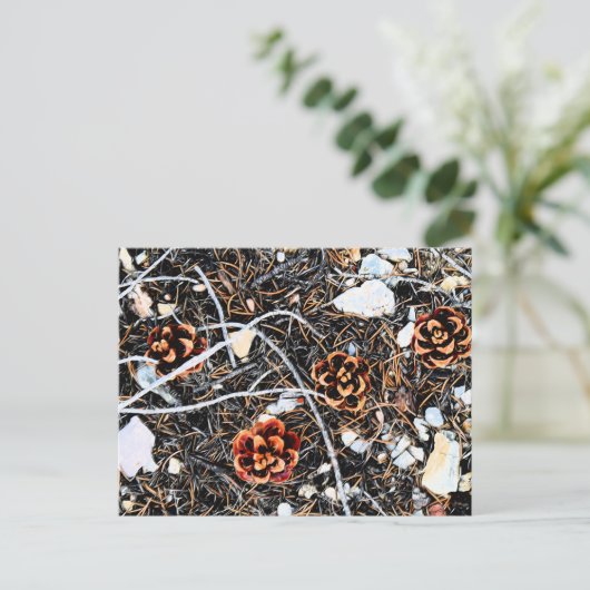 Pine Cones Postkarte (Stehend Vorderseite)