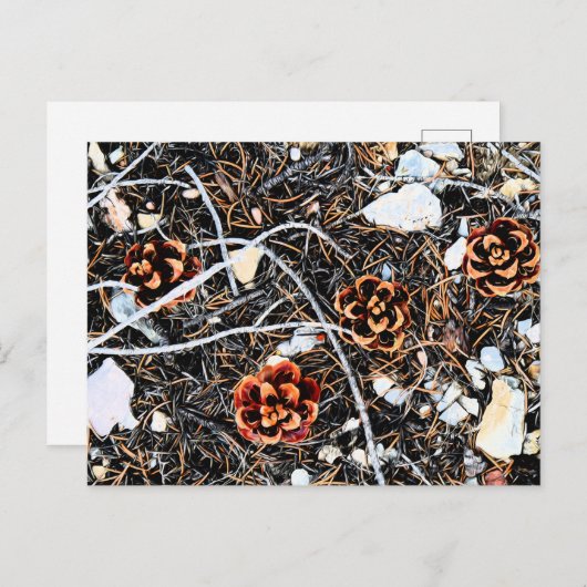 Pine Cones Postkarte (Vorne/Hinten)