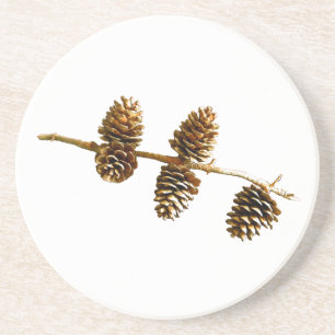 Pine Cones Sandstein Untersetzer