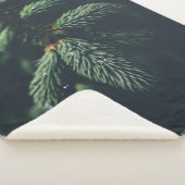 PINE CONES SHERPADECKE (3/4)