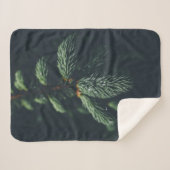 PINE CONES SHERPADECKE (Vorderseite (Horizontal))