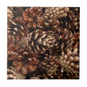 Pine Cones Tile Fliese