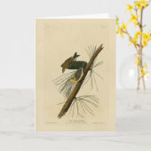 Pine Creeping Warbler - Audubons Vögel in Amerika Karte (Gelbe Blume)
