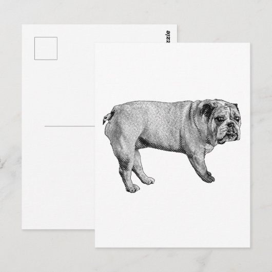 Pine-Edge-Postkarte Postkarte (Vorne/Hinten)