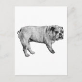 Pine-Edge-Postkarte Postkarte (Vorderseite)