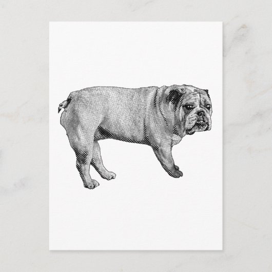 Pine-Edge-Postkarte Postkarte (Vorderseite)