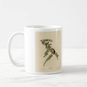 Pine Finch (Pine Siskin), Audubon Birds of America Kaffeetasse