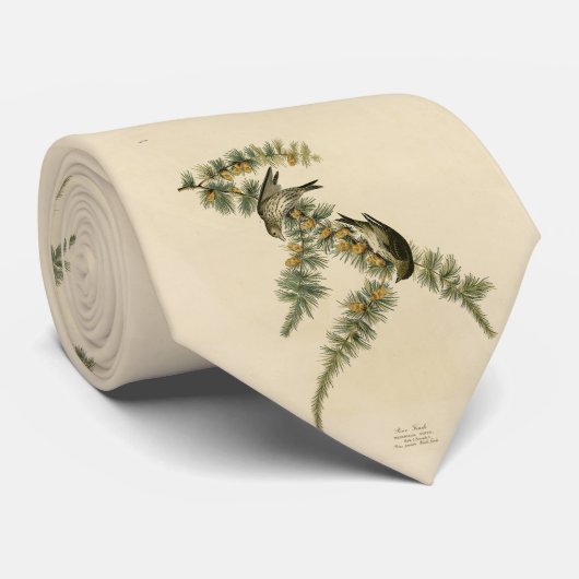 Pine Finch (Pine Siskin), Audubon Birds of America Krawatte (Gerollt)