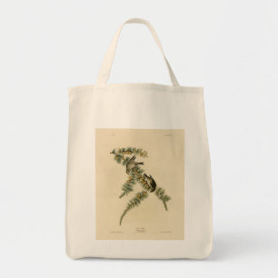 Pine Finch (Pine Siskin), Audubon Birds of America Tragetasche