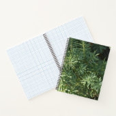 Pine Forest Spirale Notebook Notizblock (Innenseite)