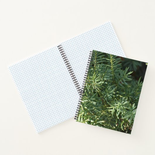 Pine Forest Spirale Notebook Notizblock (Innenseite)