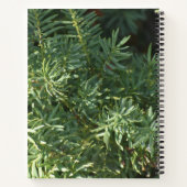 Pine Forest Spirale Notebook Notizblock (Rückseite)
