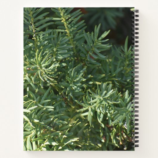 Pine Forest Spirale Notebook Notizblock (Rückseite)