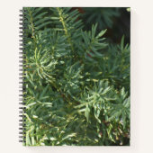 Pine Forest Spirale Notebook Notizblock (Vorderseite)