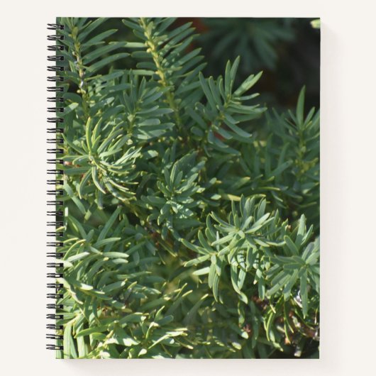 Pine Forest Spirale Notebook Notizblock (Vorderseite)