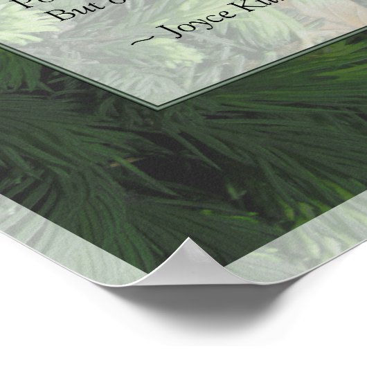 Pine Forest Trees Poster Print (Ecke)