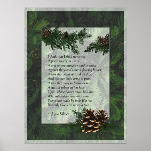 Pine Forest Trees Poster Print (Vorne)