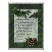 Pine Forest Trees Poster Print (Vorderseite)