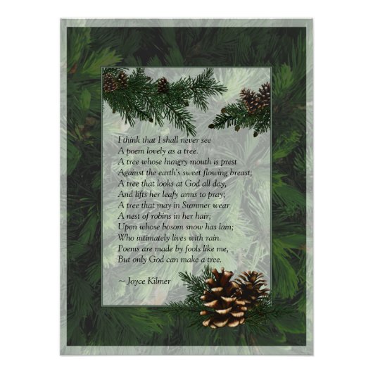 Pine Forest Trees Poster Print (Vorderseite)