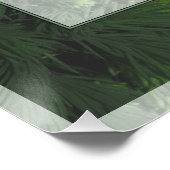Pine Forest Trees Poster Print (Ecke)