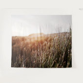 Pine Grass Sunlight Sky Landschaft Wandteppich (Vorderseite (Horizontal))