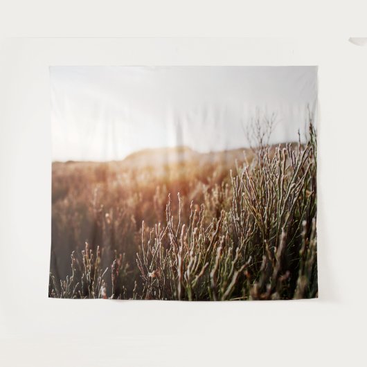 Pine Grass Sunlight Sky Landschaft Wandteppich (Vorderseite (Horizontal))